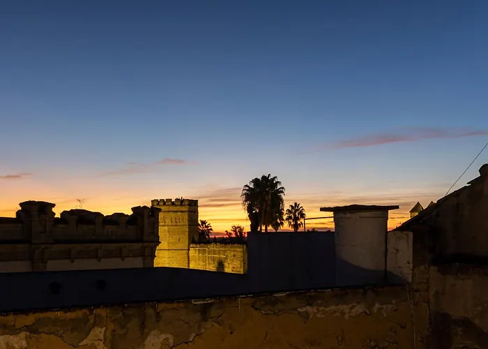 Musart Entre Artes Daire *