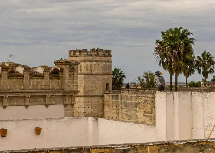 Daire Musart Entre Artes *