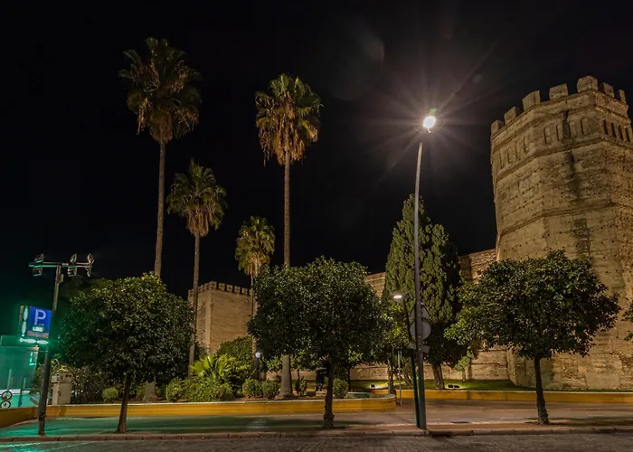 Musart Entre Artes Jerez de la Frontera
